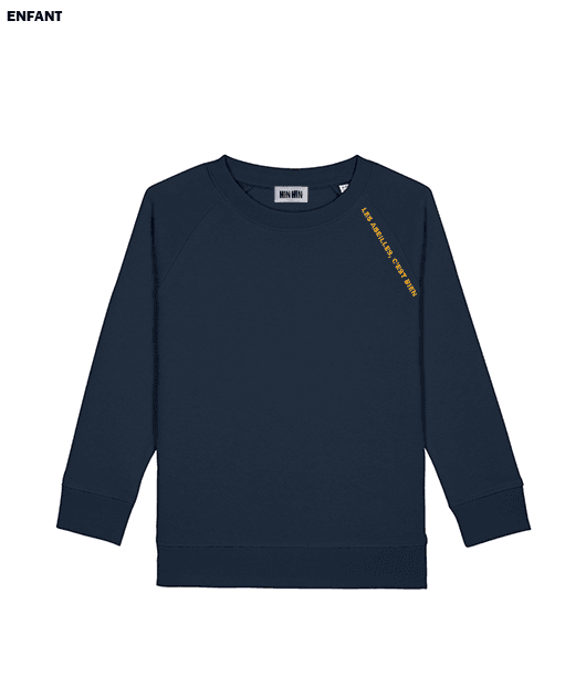 Pull coton bio Enfant Marine Les Abeilles c'est bien